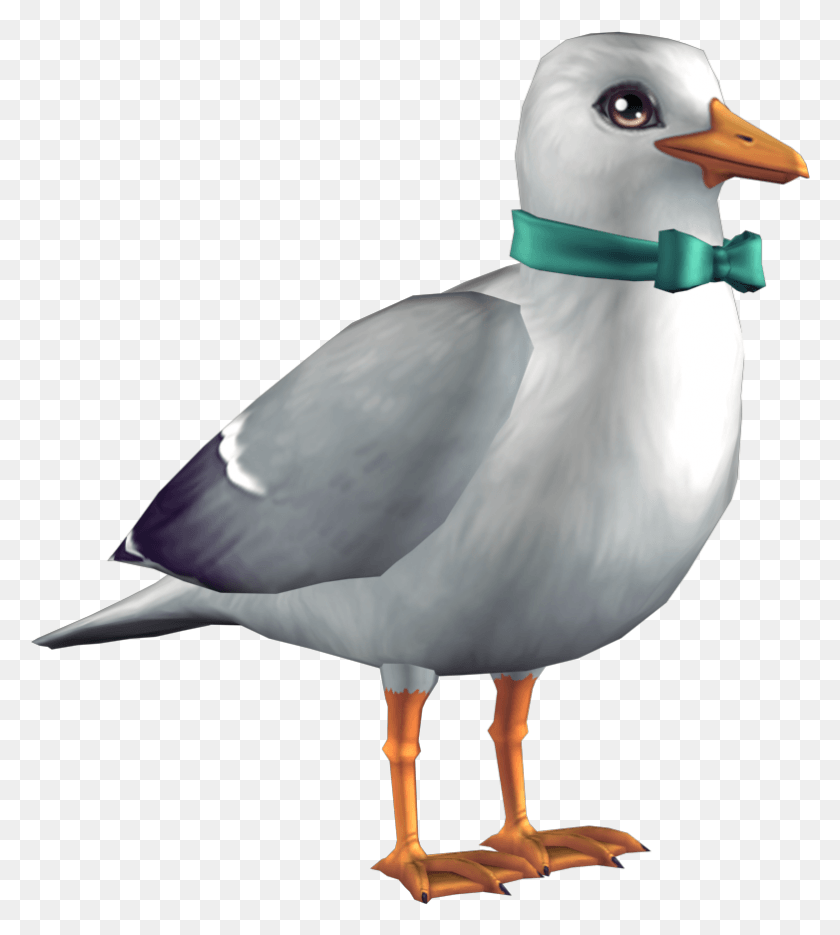 782x878 Descargar Png / Aves Acuáticas Png