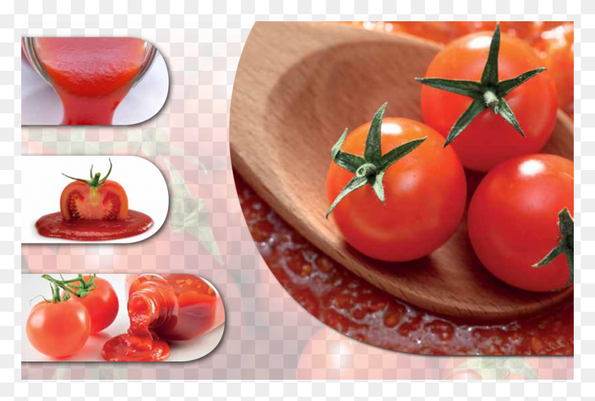 900x584 Click To Enlarge Image Saniforce Tomato Paradinikova Mezga Za Ozimnico, Plant, Food, Vegetable HD PNG Download