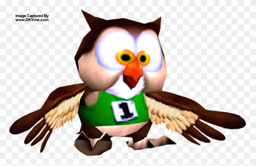 864x537 Descargar Png / Angry Birds, Pájaro, Animal Hd Png