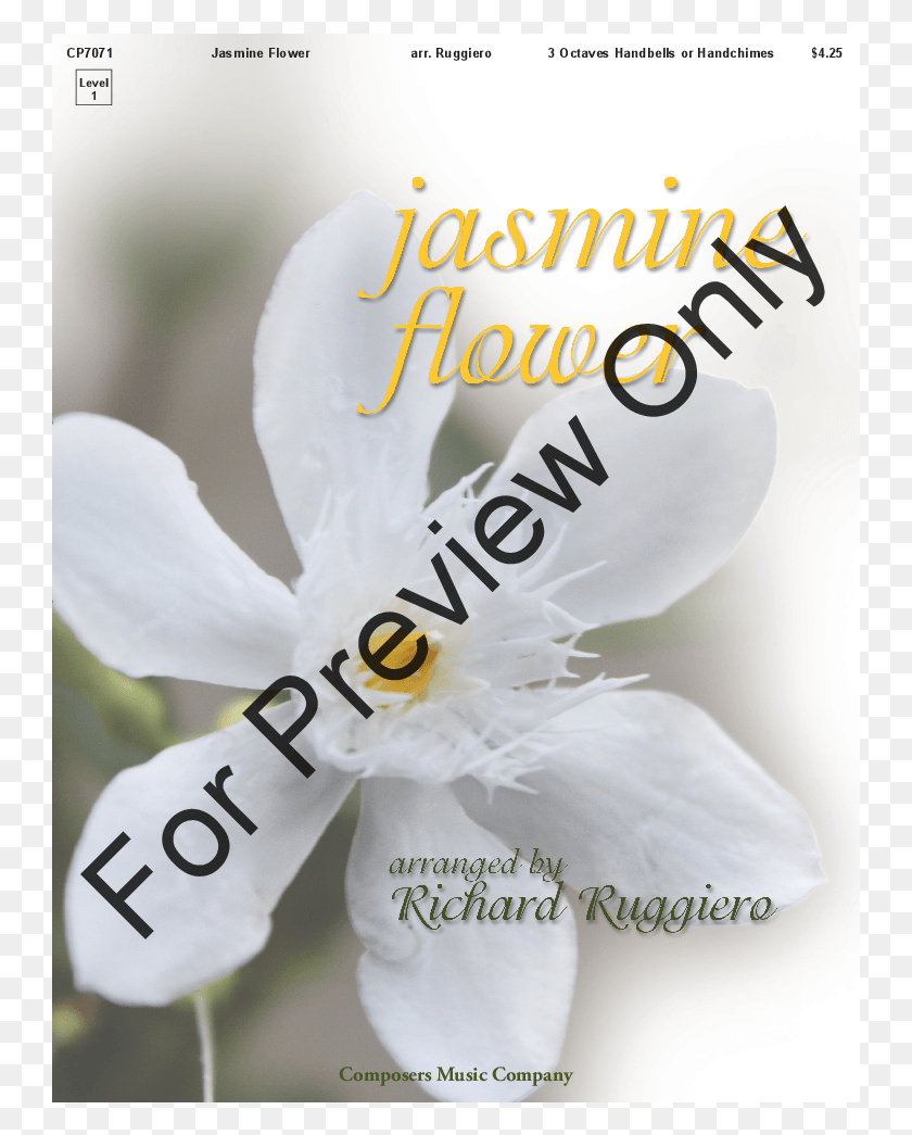 745x985 Click To Expand Jasmine Flower Thumbnail, Plant, Petal, Blossom HD PNG Download