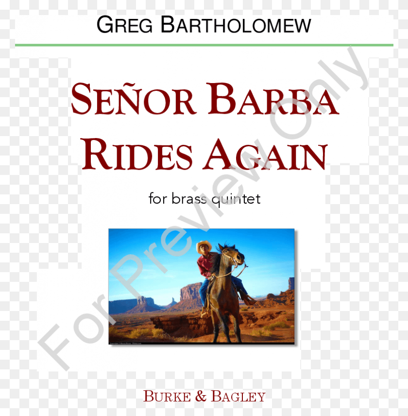 785x802 Click To Expand Senor Barba Rides Again Thumbnail Poster, Horse, Mammal, Animal HD PNG Download