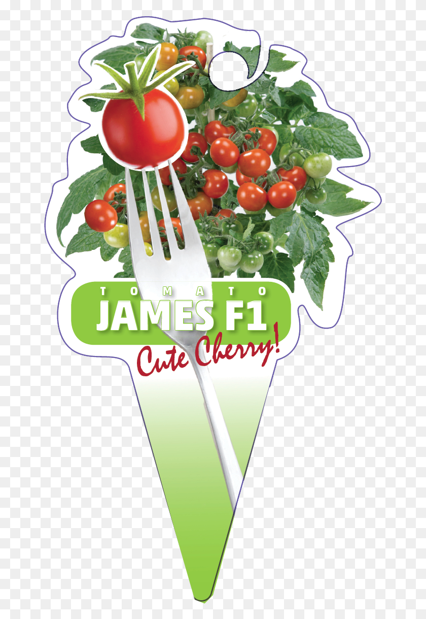 667x1159 Haga Clic Para Abrir La Imagen Haga Clic Para Abrir La Imagen Tomate Bush, Planta, Alimentos, Texto Hd Png Download