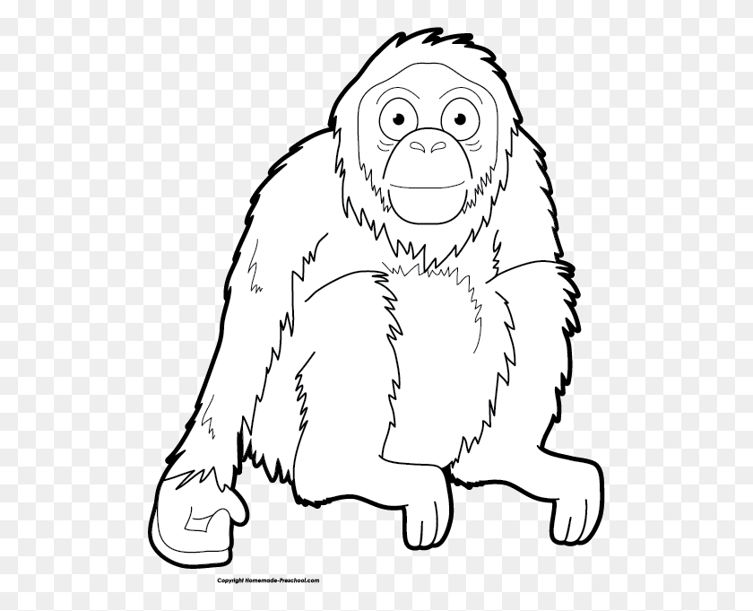 510x621 Click To Save Image Cartoon, Ape, Wildlife, Mammal Descargar Hd Png