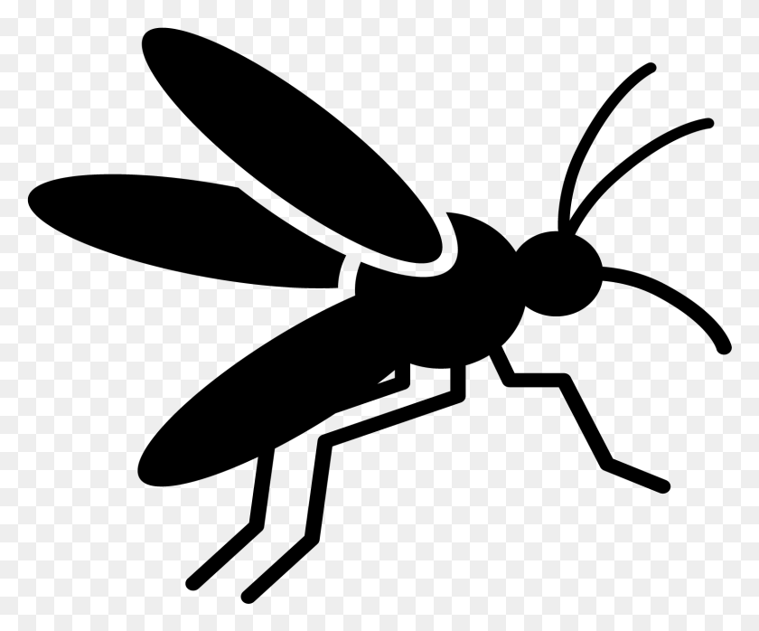 1582x1296 Climate Change And Mosquito Vector Borne Diseases Icon, Gray, World Of Warcraft HD PNG Download