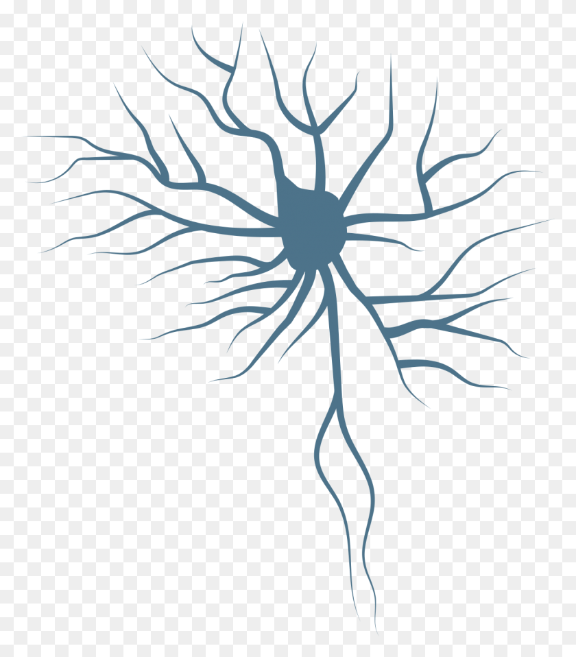 1175x1353 Ilustración De Icono De Neuro Clínico, Planta Hd Png
