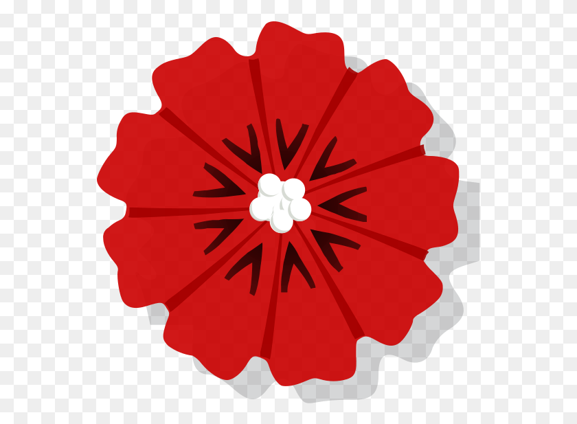559x557 Clip Art, Plant, Hibiscus, Flower HD PNG Download