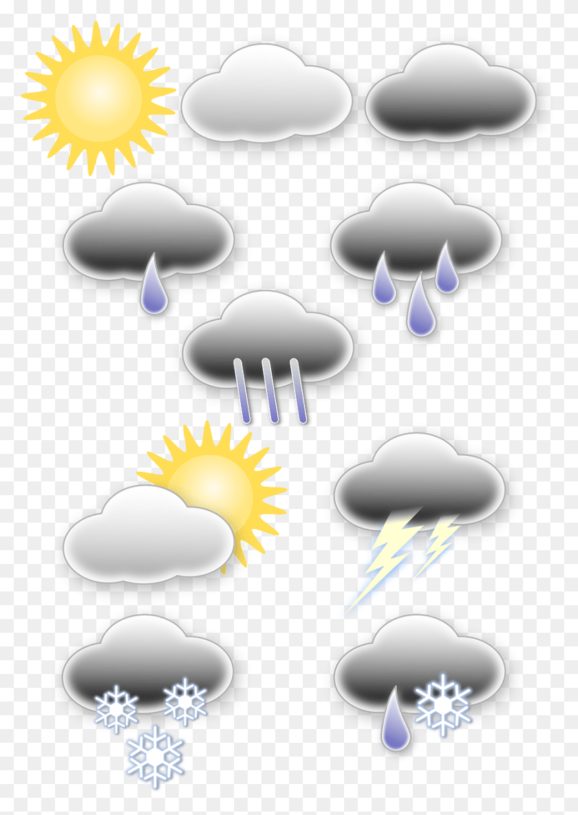 887x1280 Clip Art, Graphics, Nature HD PNG Download