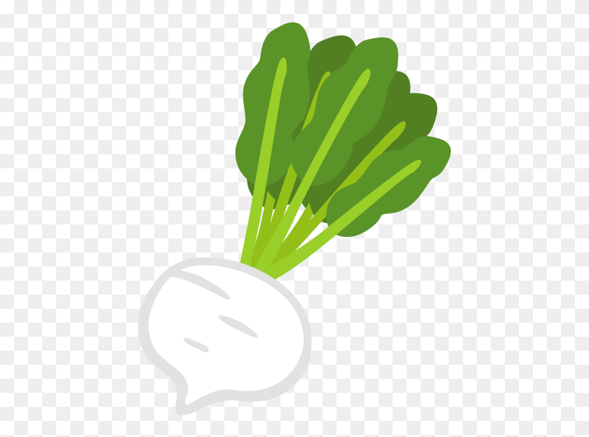 447x563 Clip Art, Plant, Produce, Food HD PNG Download