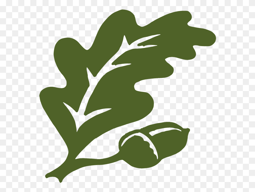 584x573 Clip Art, Planta, Árbol, Hoja Hd Png