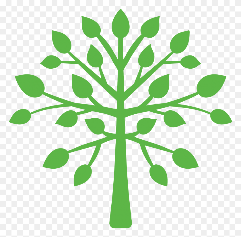 1564x1534 Clip Art, Verde, Planta, Hoja Hd Png