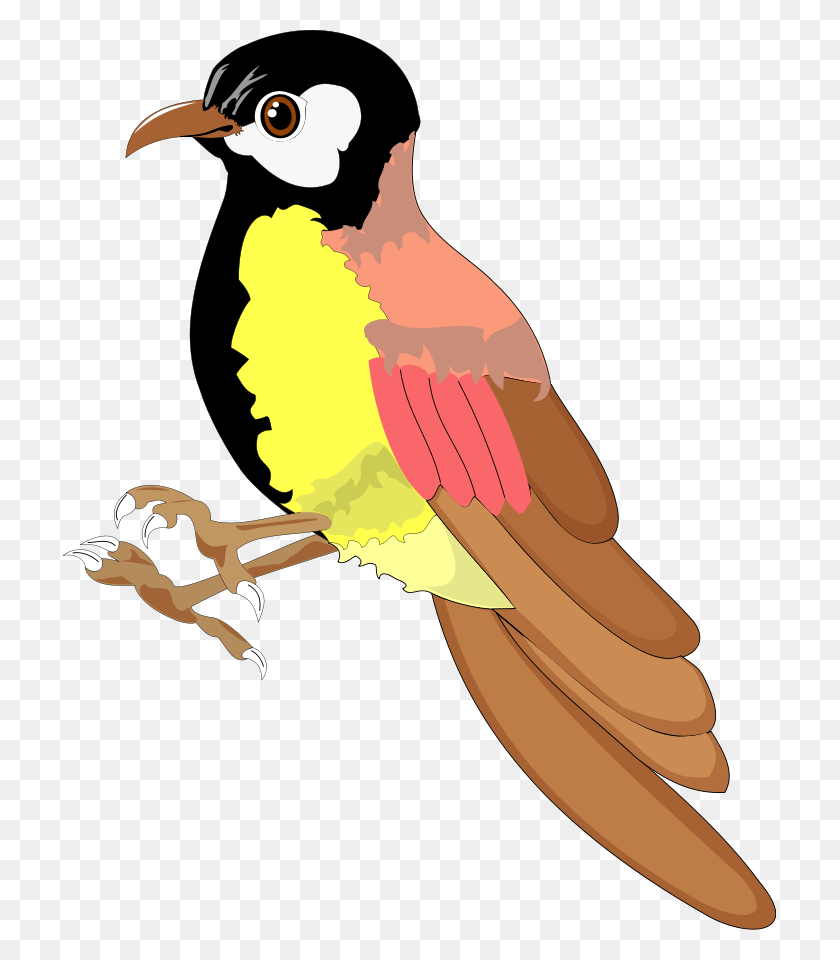 713x900 Clip Art, Pájaro, Animal, Persona Hd Png