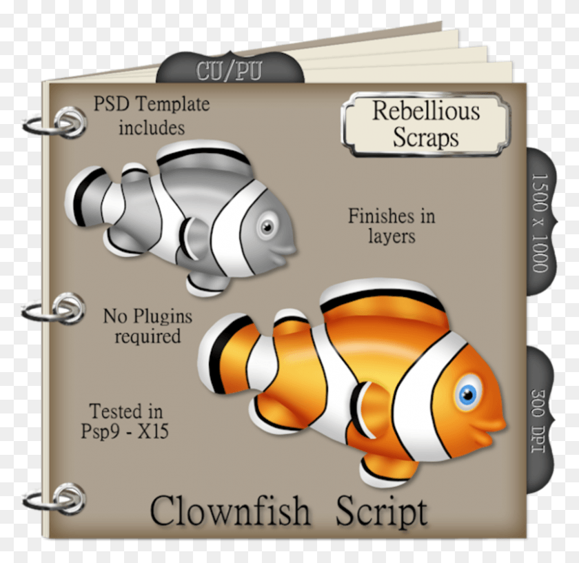 800x777 Clip Art, Text, Electronics, Advertisement HD PNG Download