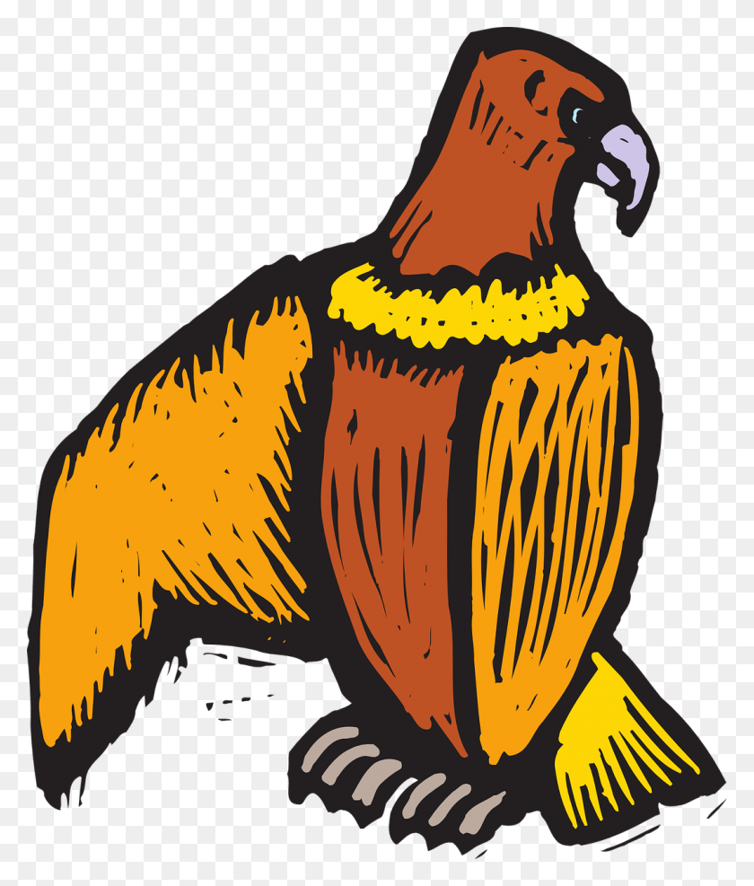 1077x1280 Clip Art, Beak, Bird, Animal HD PNG Download