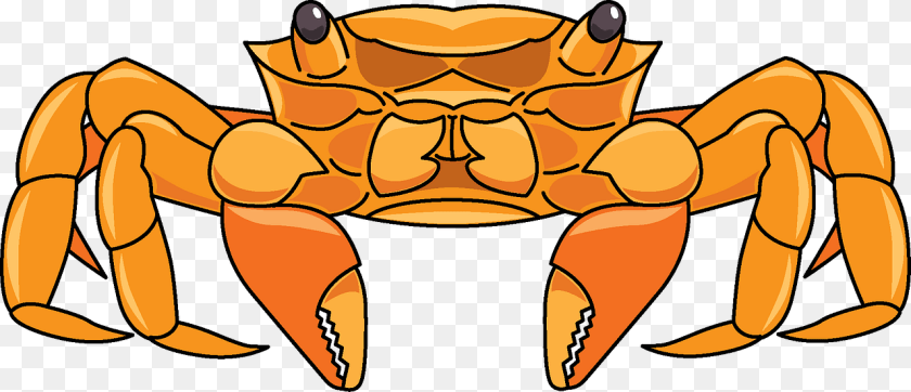 Clip Art, Seafood, Food, Animal, Sea Life PNG