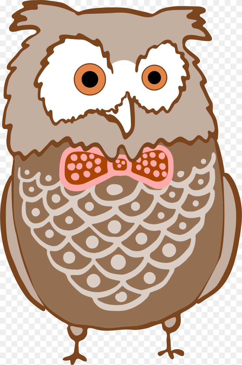 1596x2400 Clip Art Bird Image Barred Owl Cartoon, Animal, Beak, Face, Head PNG