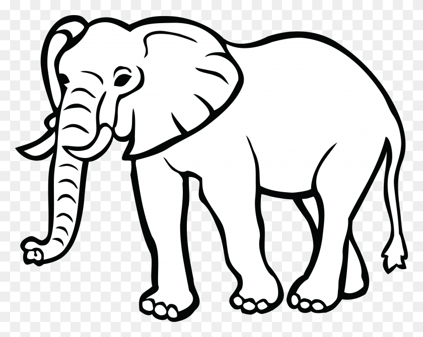 4000x3132 Клипарт Черно-Белый Слон, Дикая Природа, Млекопитающее, Животное Hd Png Скачать