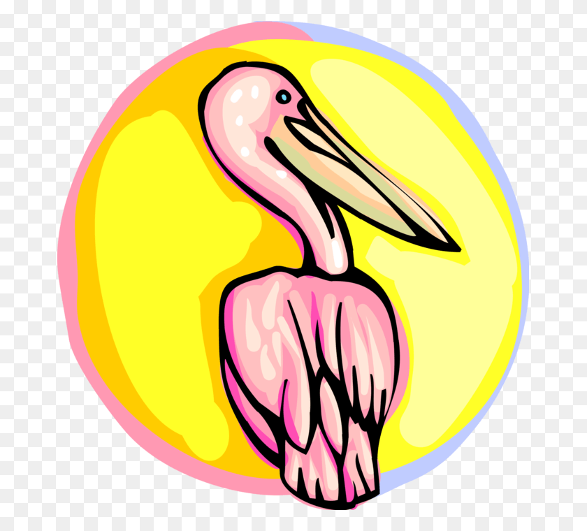 675x700 Clip Art Black And White Stock Water Bird Image Illustration, Pelican, Animal, Beak Descargar Hd Png