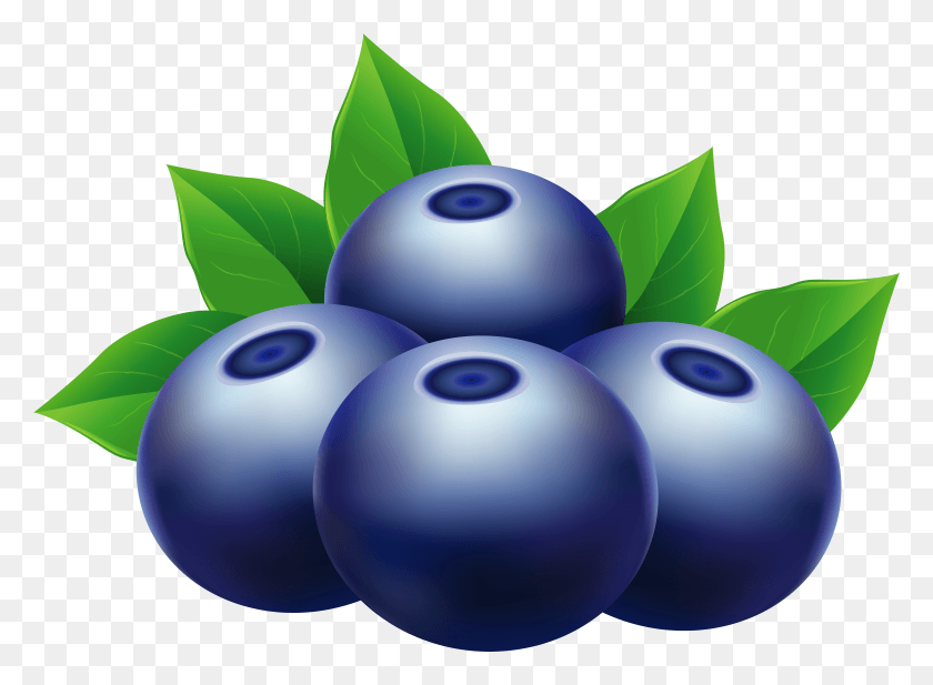 7945x5675 Clip Art Blueberry HD PNG Download