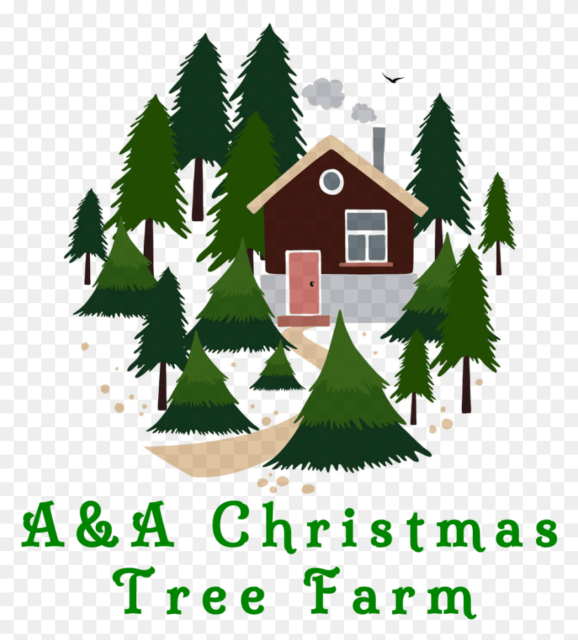 881x982 Clip Art Christmas Tree Farm, Plant, Ornament, Christmas Tree HD PNG Download