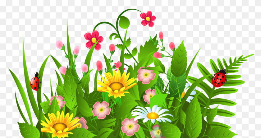 Clip Art Clip Art For June, Plant, Pattern, Graphics, Flower Transparent PNG