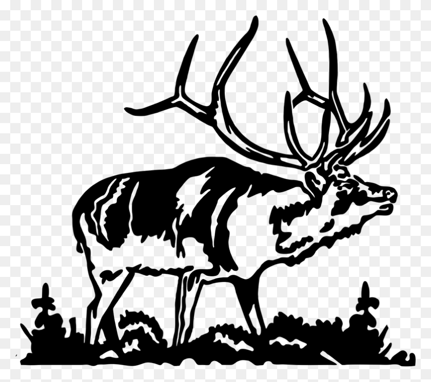 784x689 Clip Art Collection Of Free Scene Bull Elk Clip Art, Gray, World Of Warcraft HD PNG Download
