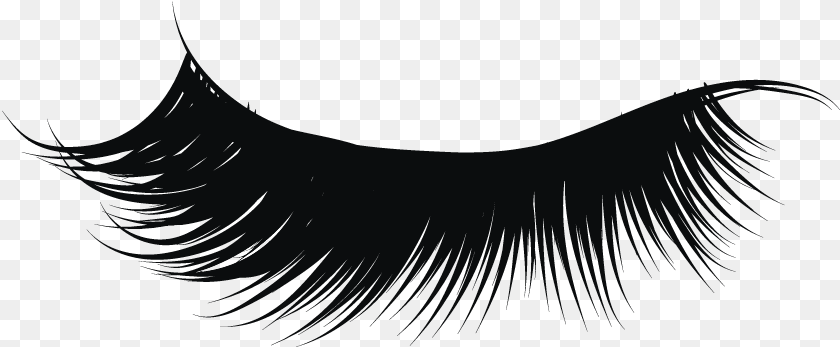 839x347 Clip Art Collection Of Vector Background Eyelash, Nature, Night, Outdoors, Accessories Transparent PNG