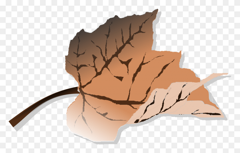 2400x1465 Clip Art Dead Leaf, Plant, Tree, Maple Leaf HD PNG Download