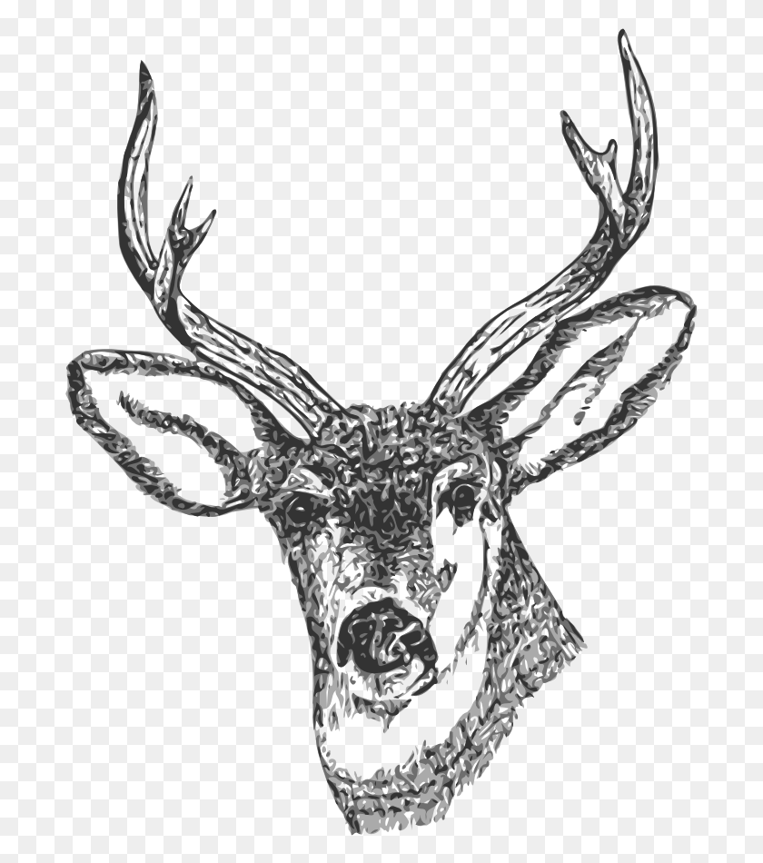 697x890 Clip Art Deer, Antler, Wildlife, Mammal HD PNG Download