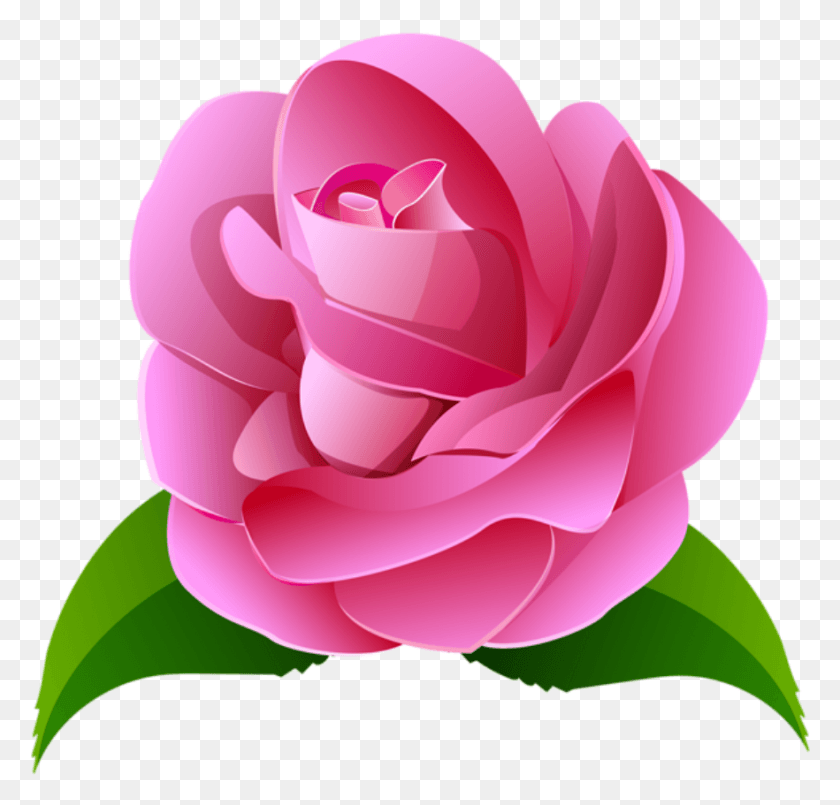882x843 Png Дезенхо Флор Роза Японская Роза, Цветок, Растение, Цветение Hd Png Скачать