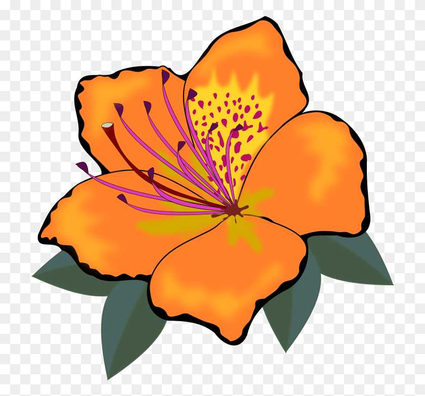 720x723 Clip Art Flor Flora Flores Flower Nature Plant Cross Stitch Flower Clipart, Geranium, Blossom, Anther HD PNG Download