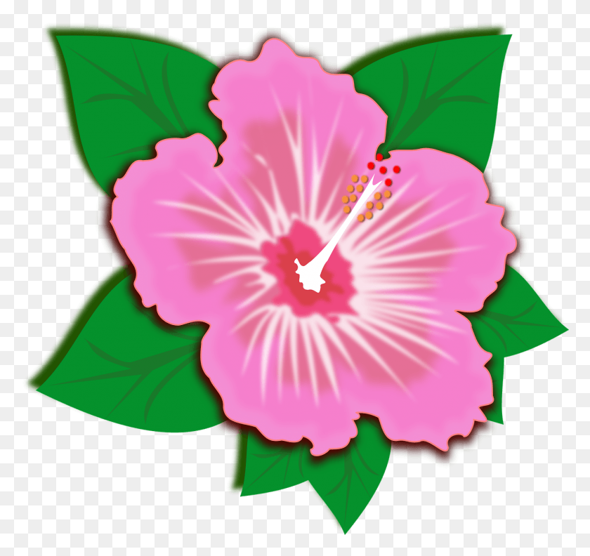 1280x1202 Clip Art Flor Flora Flores Image Public Domain Flower, Hibiscus, Plant, Blossom HD PNG Download