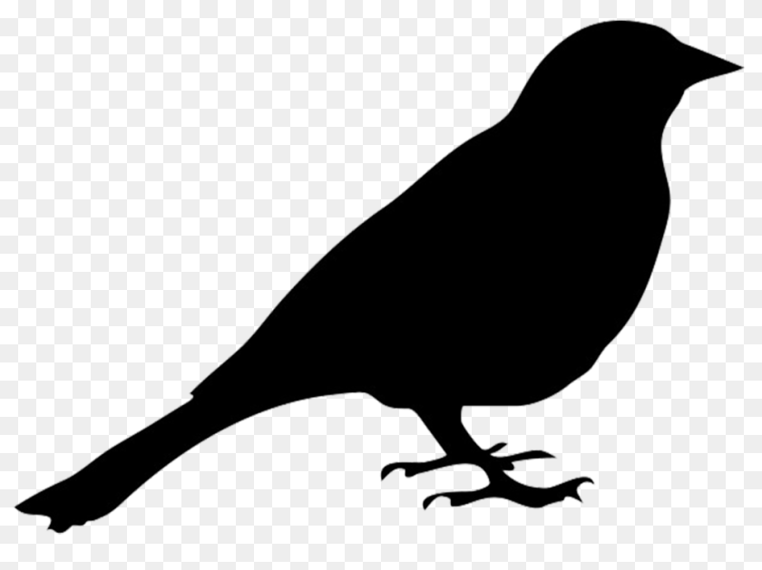 Clip Art Bird Silhouette Winging, Animal, Blackbird, Bow, Weapon Sticker PNG