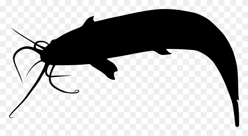 1879x967 Clip Art Free Catfish Vector Silhouette Bagre Silueta, Gray, World Of Warcraft HD PNG Download