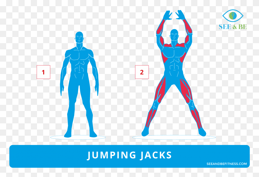 2538x1673 Clip Art Free Exercise Of The Day Jacks Steemkr Step Up With Knee Raise Muscles Worked, Person, Human, Plot HD PNG Download