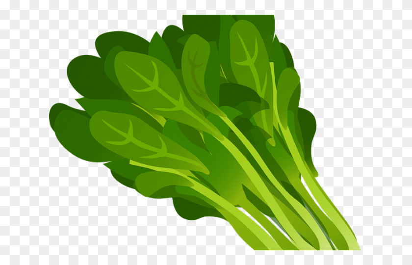 640x480 Clip Art Freeuse Stock Green Leaves Free On Dumielauxepices Spinach Draw, Plant, Vegetable, Food HD PNG Download