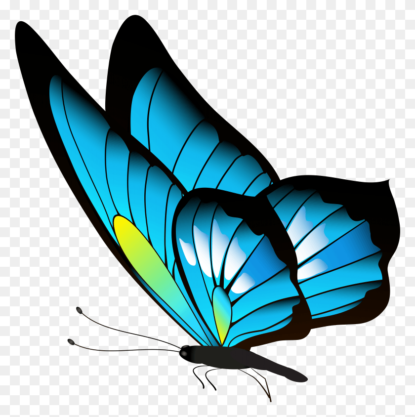 5893x5929 Clip Art Gallery Yopriceville High Quality Butterfly, Insect, Invertebrate, Animal HD PNG Download