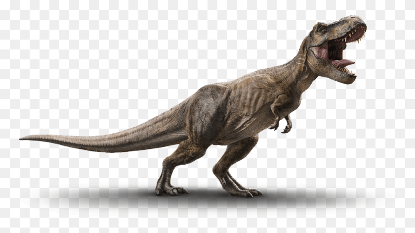 936x494 Descargar Png Dave And Busters Jurassic World Vr Expedition, T-Rex, Dinosaurio, Reptil Hd Png