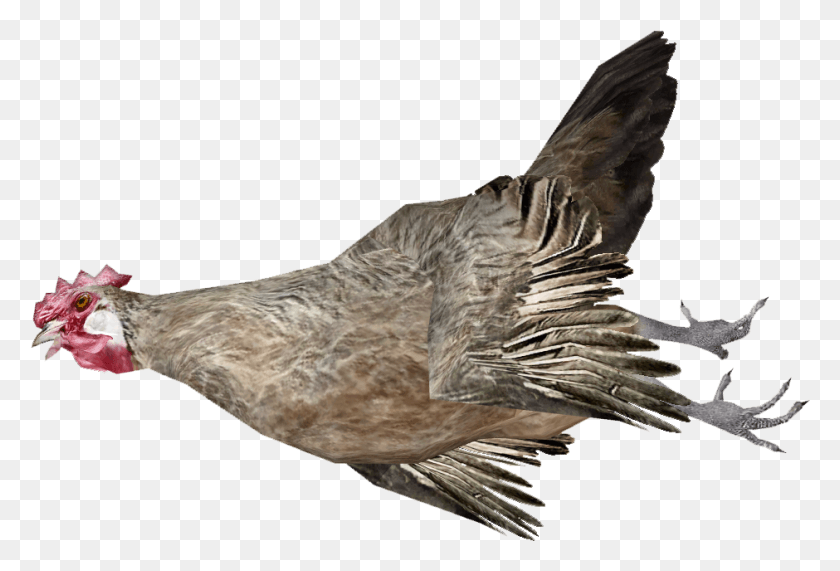 940x616 Clip Art Images Dead Chicken Transparent, Bird, Animal, Beak HD PNG Download