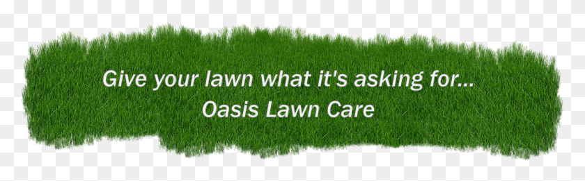 1100x284 Clip Art Lawn Care Photos Lawn, Grass, Plant, Field Descargar Hd Png