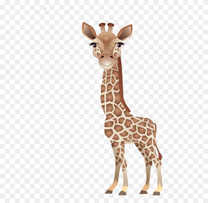 477x758 Clip Art Leopard About Giraffes Northern Giraffe, Wildlife, Mammal, Animal HD PNG Download