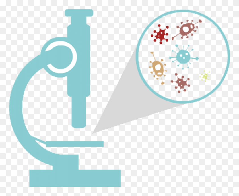 952x770 Библиотека Клипартов Бактерии Вектор Бактериальный Клипарт Микроскоп Бактерии, Графика, Треугольник Hd Png Скачать