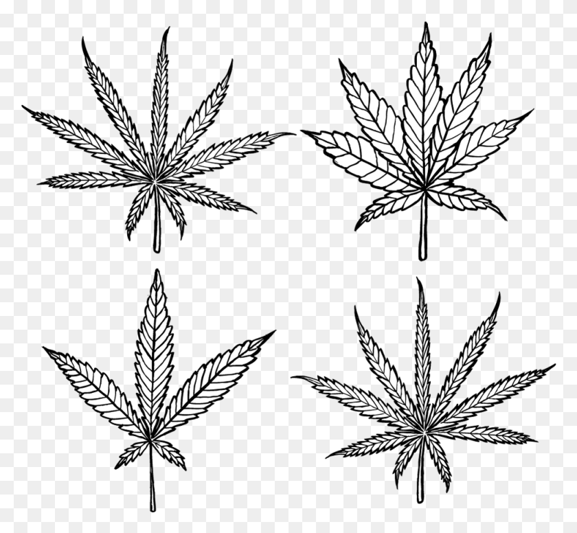 976x897 Clip Art Library Stock La Diabetes Y La Marihuana Un Posible Diagrama De Cannabis Indica, Hoja, Planta, Hierba Hd Png
