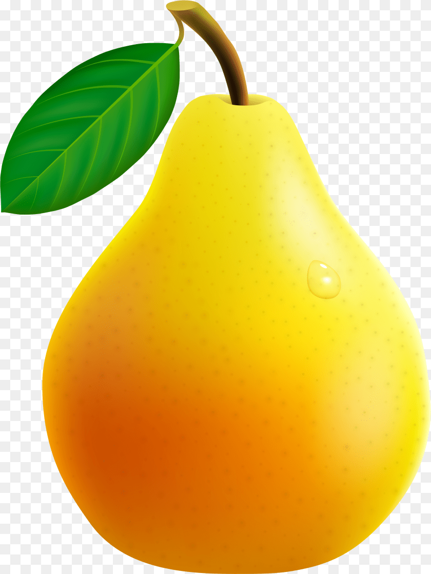 2569x3418 Clip Art Pera Pear Food, Fruit, Plant, Produce Clipart PNG