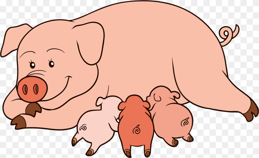 2494x1519 Clip Art Pig And Piglet Clipart, Animal, Mammal, Hog, Wildlife Transparent PNG