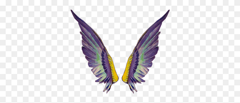 354x302 Clip Art Related Wings Transprent Free Fairy Wing Gif Transparent, Bird, Animal, Jay HD PNG Download