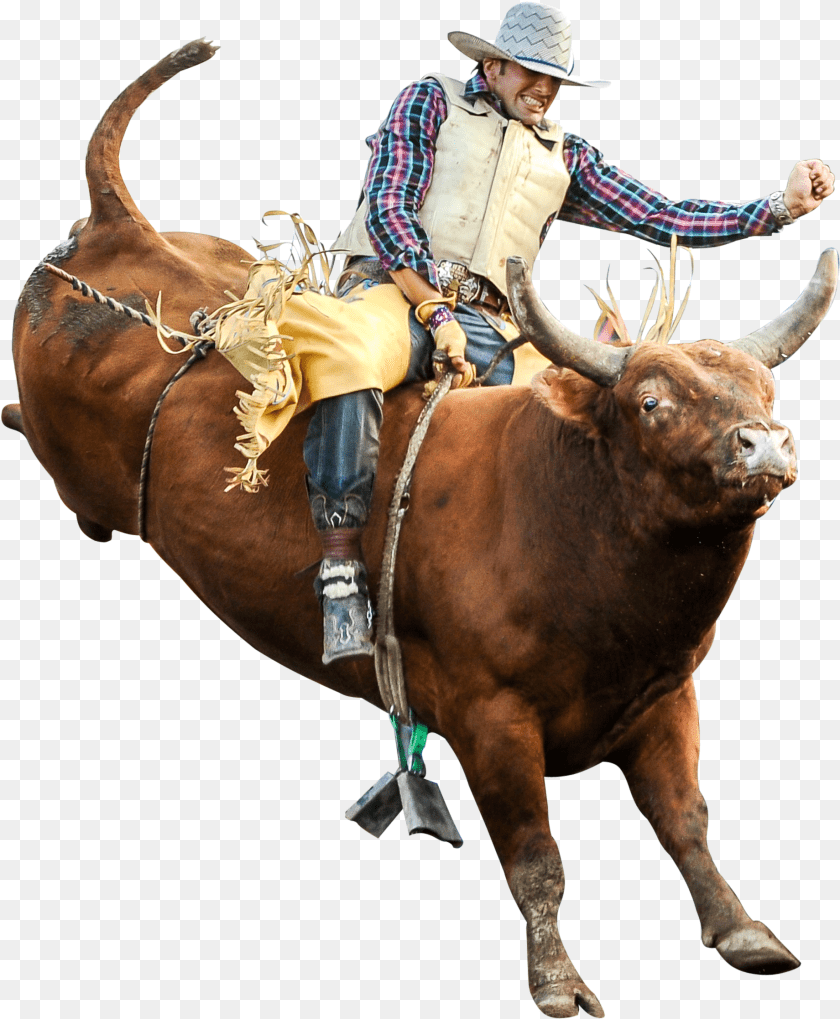 1841x2234 Clip Art Riding Professional Riders Rodeo Bull Riding, Mammal, Animal, Hat, Clothing PNG