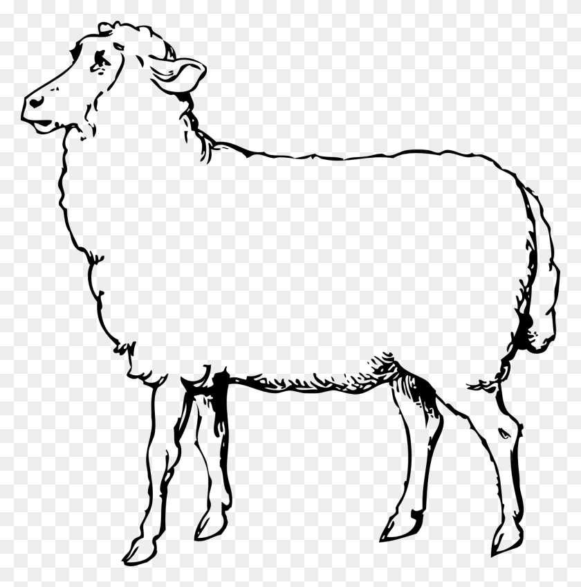 1331x1345 Clip Art Sheep Black And White, Mammal, Animal, Bow HD PNG Download