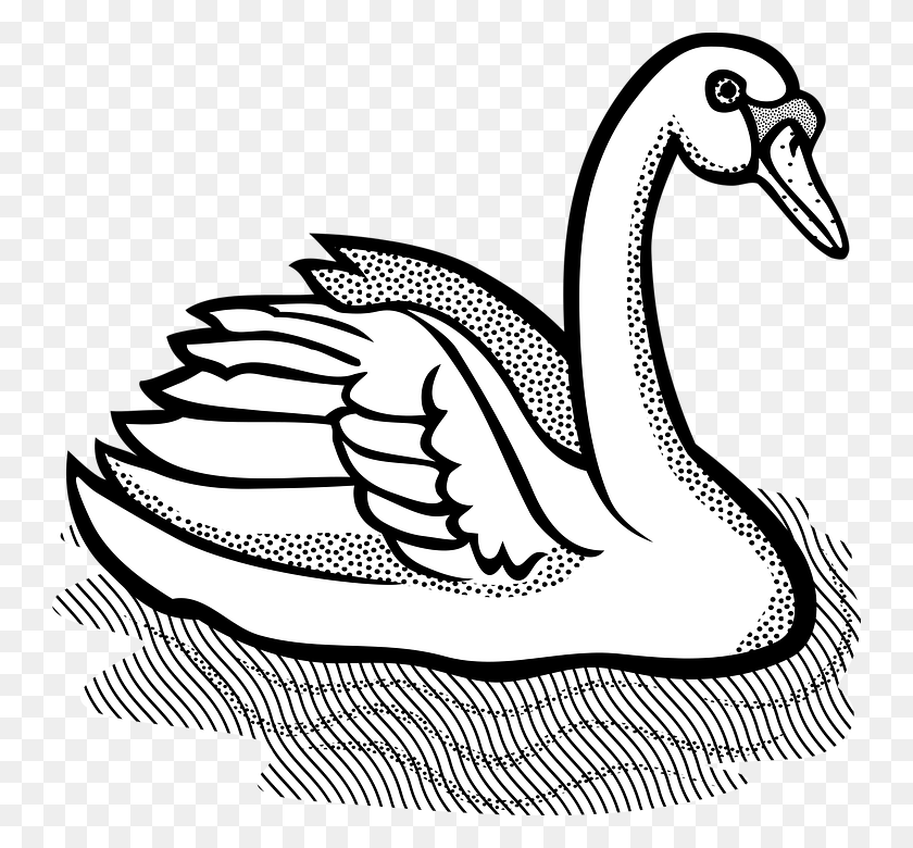 744x720 Clip Art Swan Black And White, Animal, Bird, Waterfowl HD PNG Download
