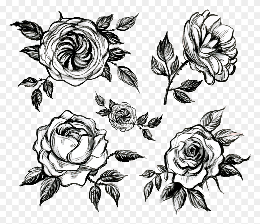 2051x1742 Clip Art Transparent Library Visual Arts Floral Design Black And White Rose Design, Pattern, Graphics HD PNG Download