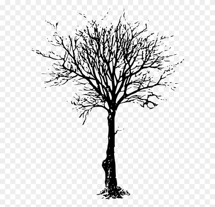 598x750 Clip Art Tree Branch Image Silhouette Leafless Trees, Gray, World Of Warcraft HD PNG Download